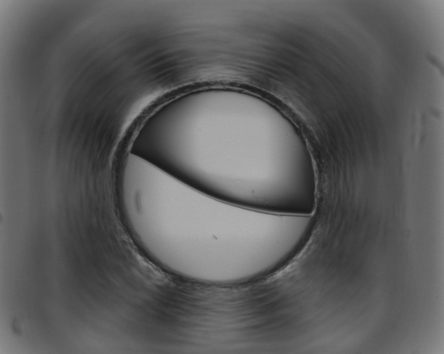 X0000097751022200803070837