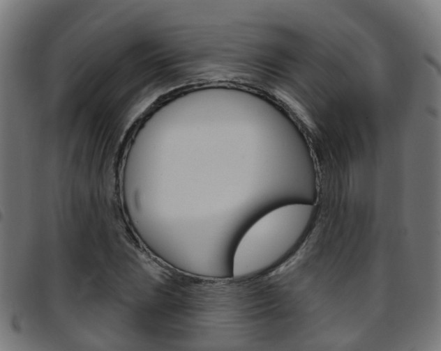 X0000097751023200803070837