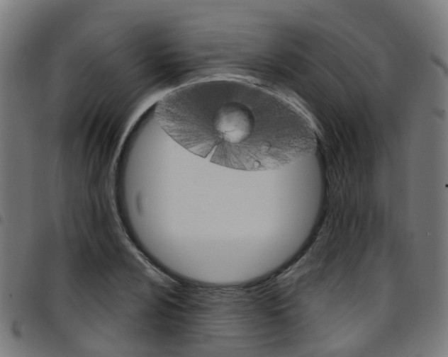 X0000097751024200803070837