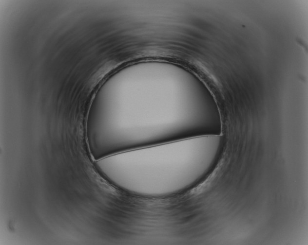 X0000097751025200803070837