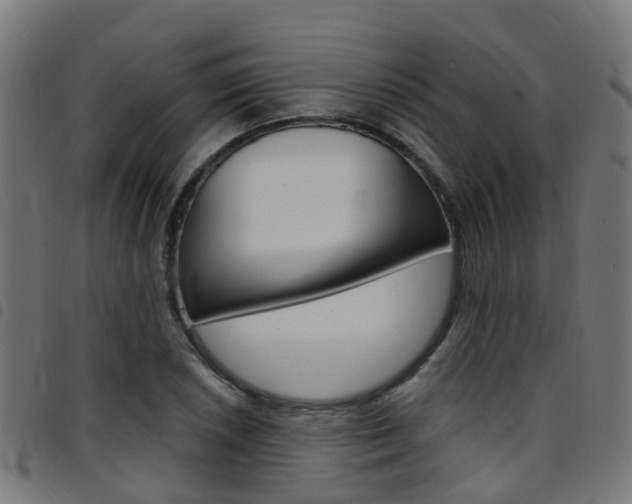 X0000097751026200803070837