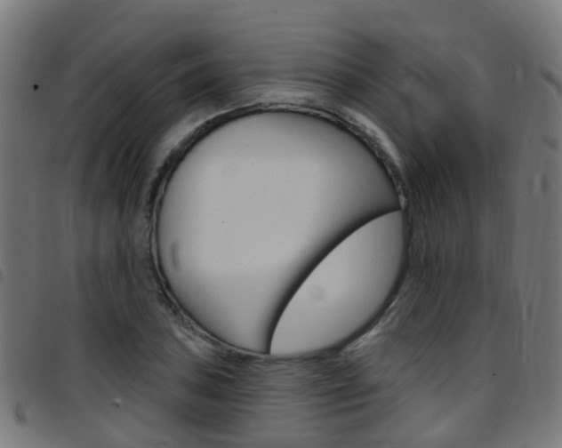 X0000097751027200803070837