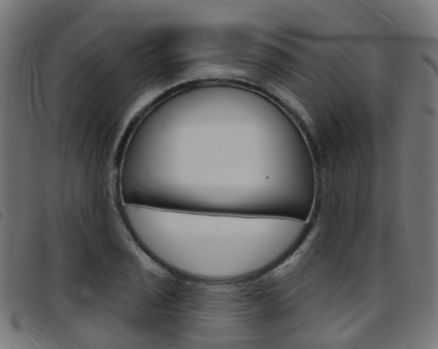 X0000097751029200803070837
