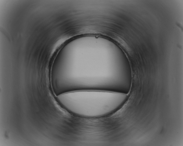 X0000097751030200803070837
