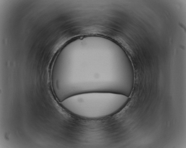 X0000097751031200803070837