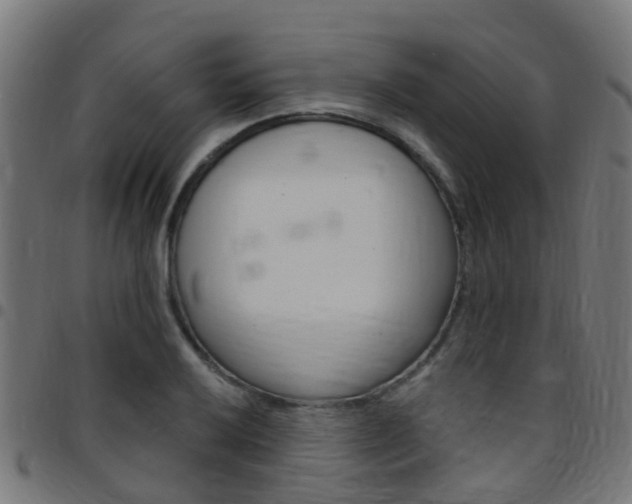 X0000097751032200803070837