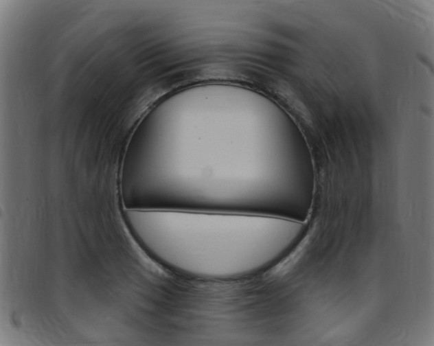 X0000097751033200803070837
