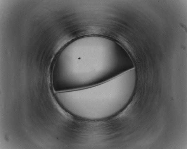 X0000097751034200803070837