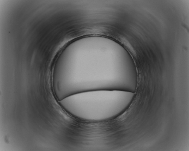X0000097751035200803070837