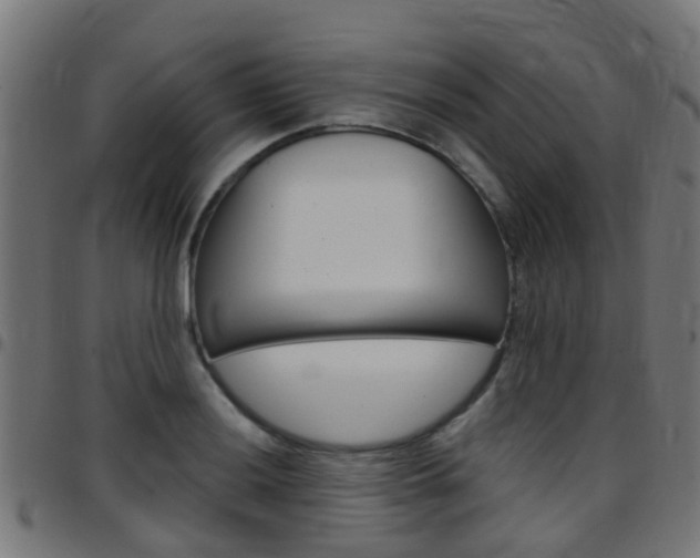 X0000097751036200803070837
