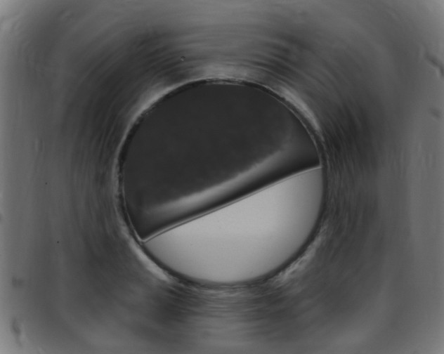 X0000097751037200803070837