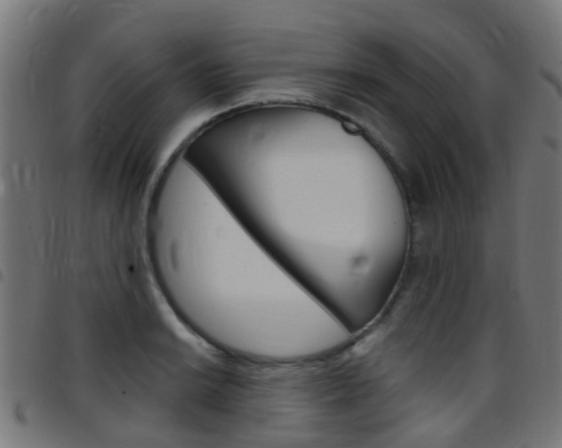 X0000097751038200803070837