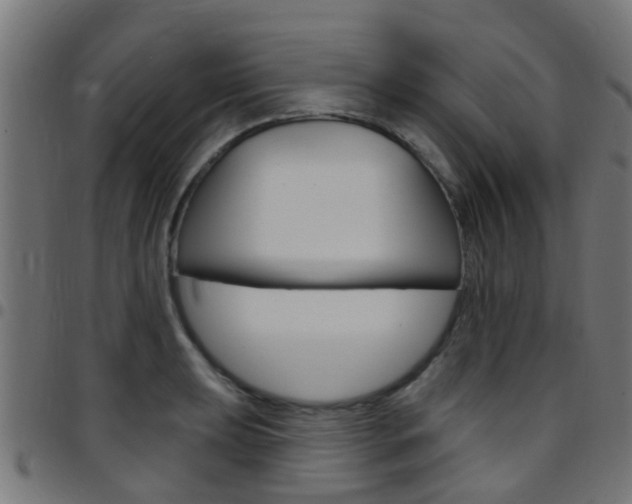 X0000097751039200803070837