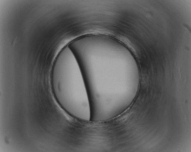 X0000097751040200803070837