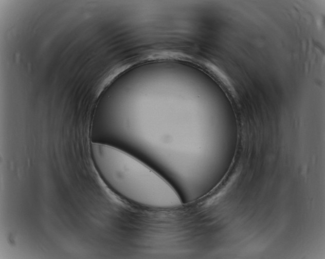 X0000097751041200803070837