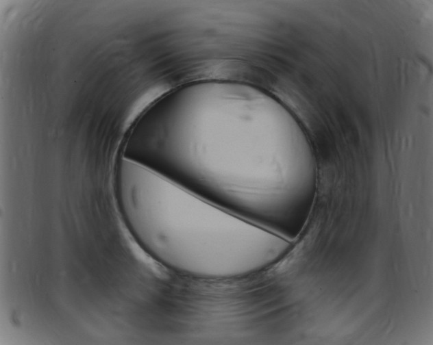 X0000097751042200803070837