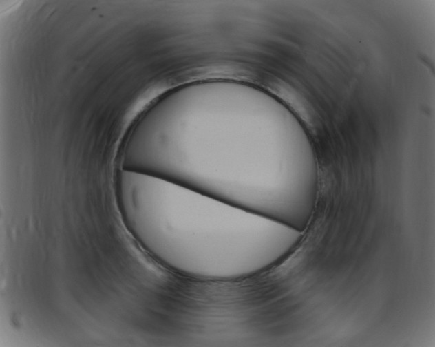 X0000097751043200803070837