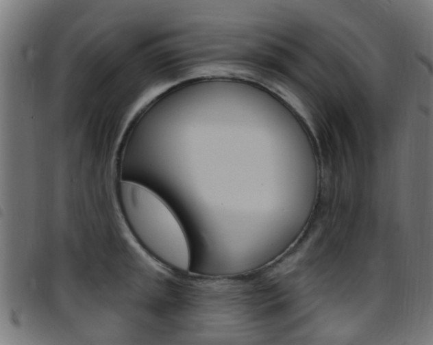 X0000097751045200803070837