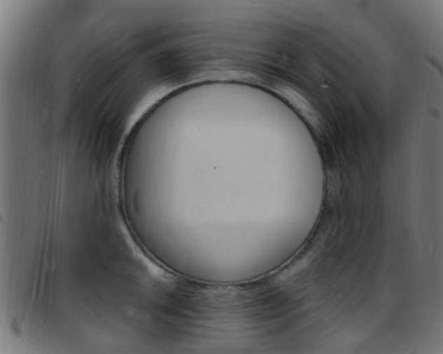 X0000097751046200803070837