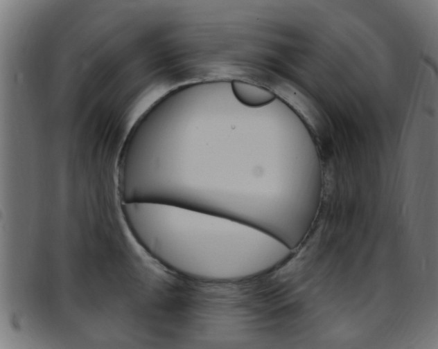 X0000097751047200803070837
