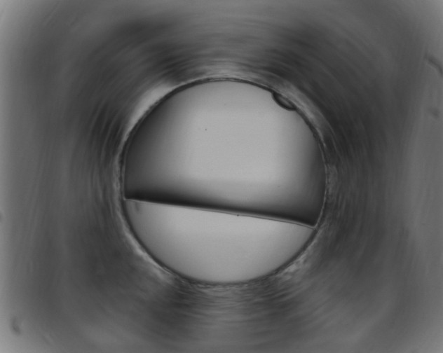 X0000097751048200803070837