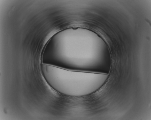 X0000097751050200803070838