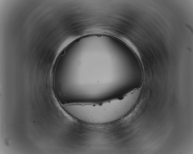 X0000097751053200803070838