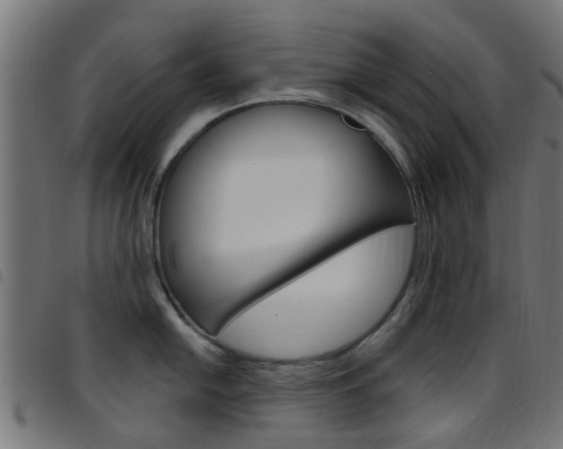 X0000097751054200803070838