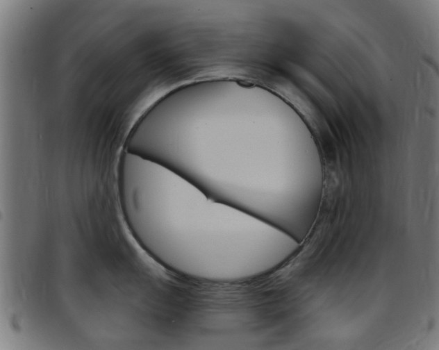X0000097751055200803070838
