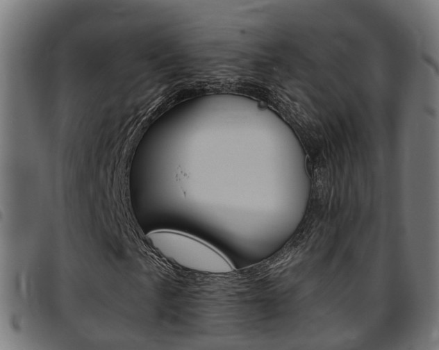 X0000097751057200803070837