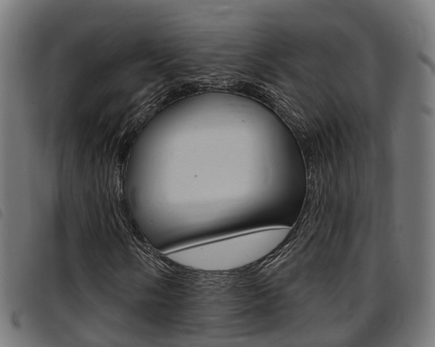 X0000097751058200803070837