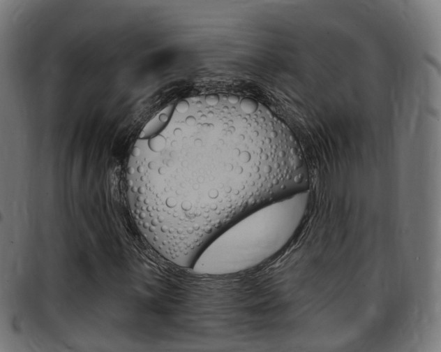 X0000097751059200803070837