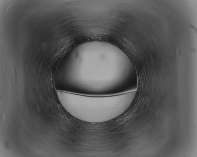 X0000097751060200803070837