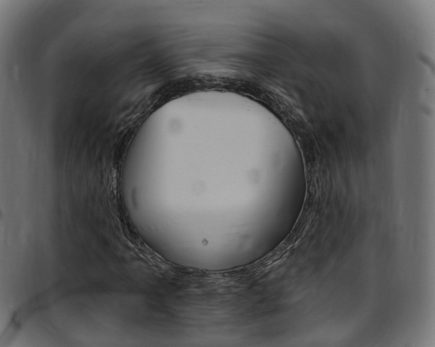 X0000097751061200803070837