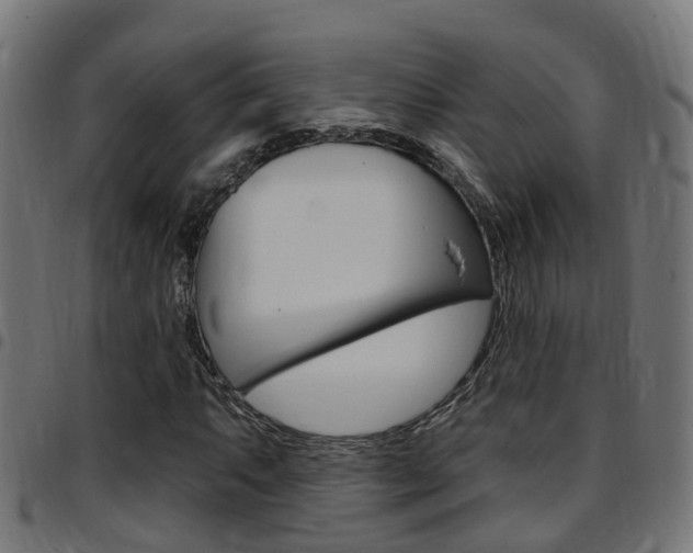 X0000097751063200803070837