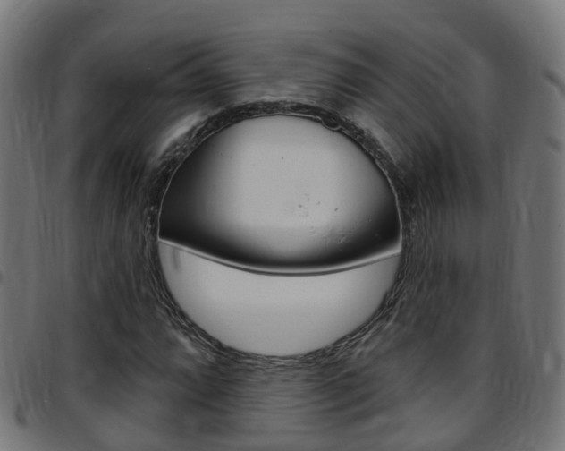 X0000097751064200803070837