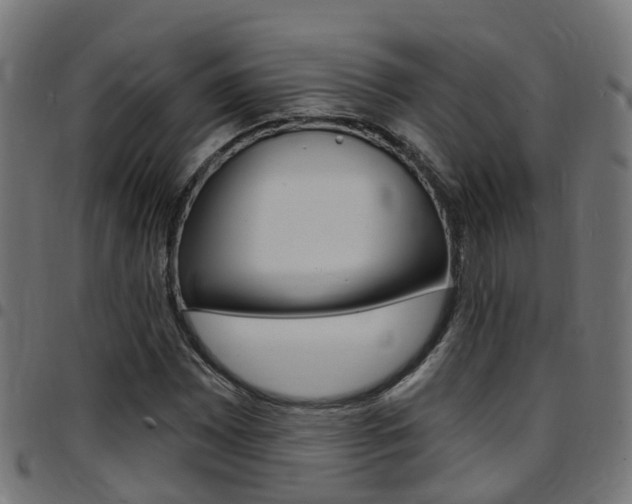 X0000097751065200803070837