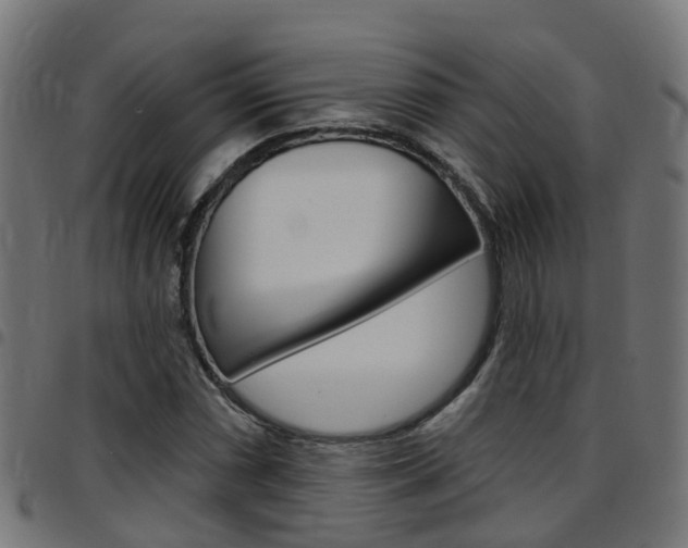 X0000097751066200803070837