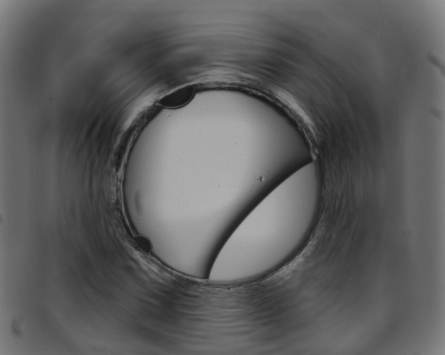 X0000097751067200803070837