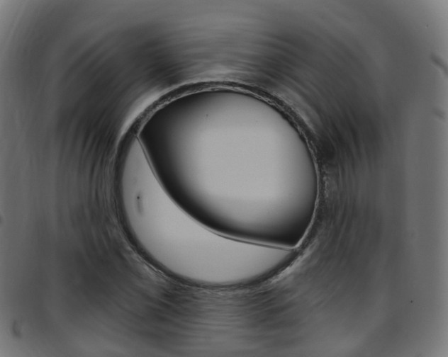 X0000097751069200803070837
