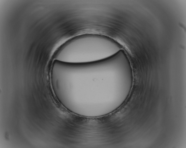 X0000097751070200803070837