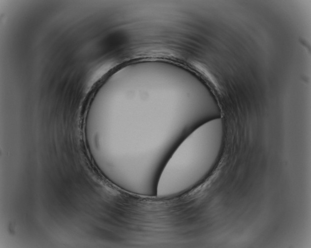 X0000097751071200803070837