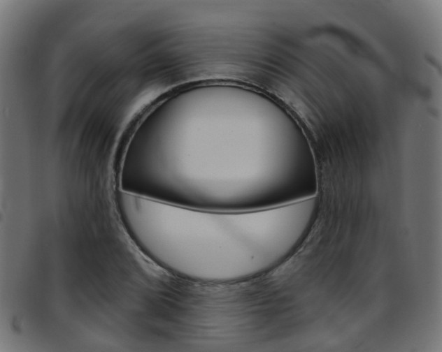 X0000097751072200803070837