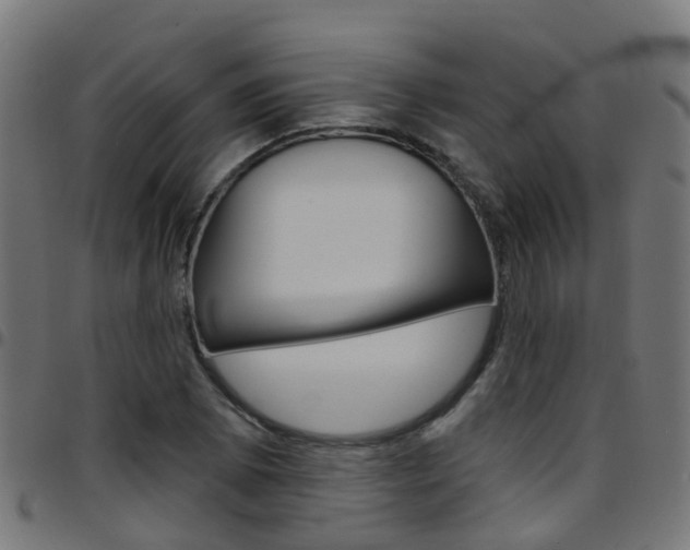 X0000097751073200803070837
