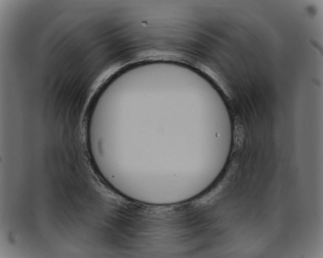 X0000097751074200803070837