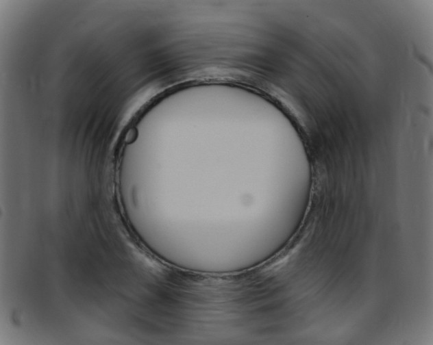 X0000097751075200803070837