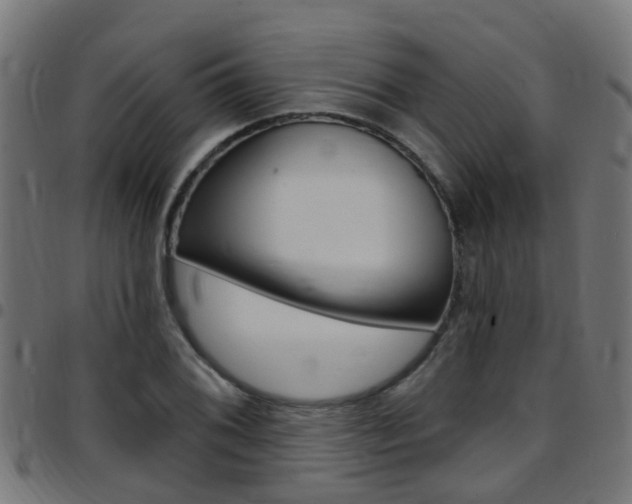 X0000097751076200803070837