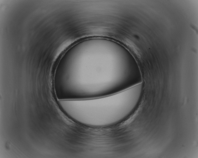 X0000097751077200803070837