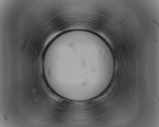 X0000097751078200803070837