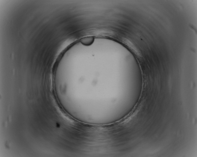 X0000097751079200803070837